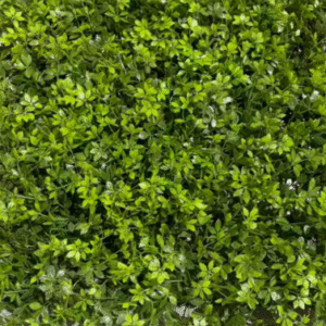 ARTIFICIAL PLANT – AB AP 05