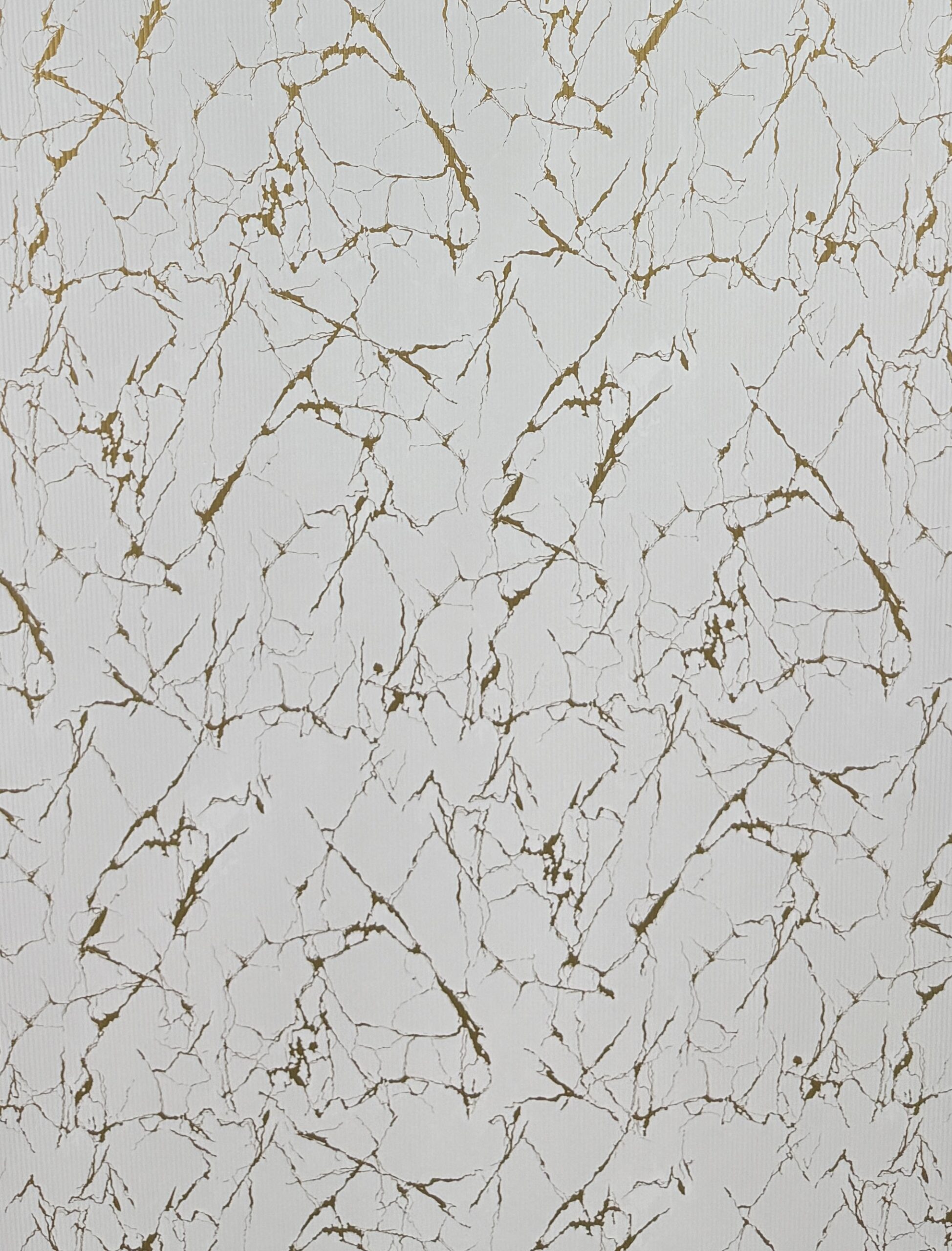 VELORA PANEL – AB CHARCO PANEL 05