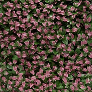 ARTIFICIAL PLANT – AB AP 08