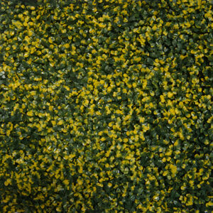 ARTIFICIAL PLANT – AB AP 12